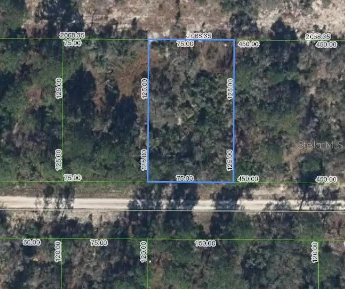 Lake Placid, FL 33852,308 ROLLING HILLS DR