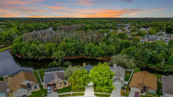 3231 CASTLE ROCK CIR, Land O Lakes, FL 34639