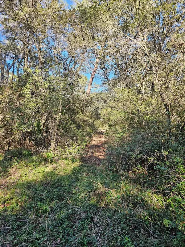 Florahome, FL 32140,138 DEER STAND ROADS