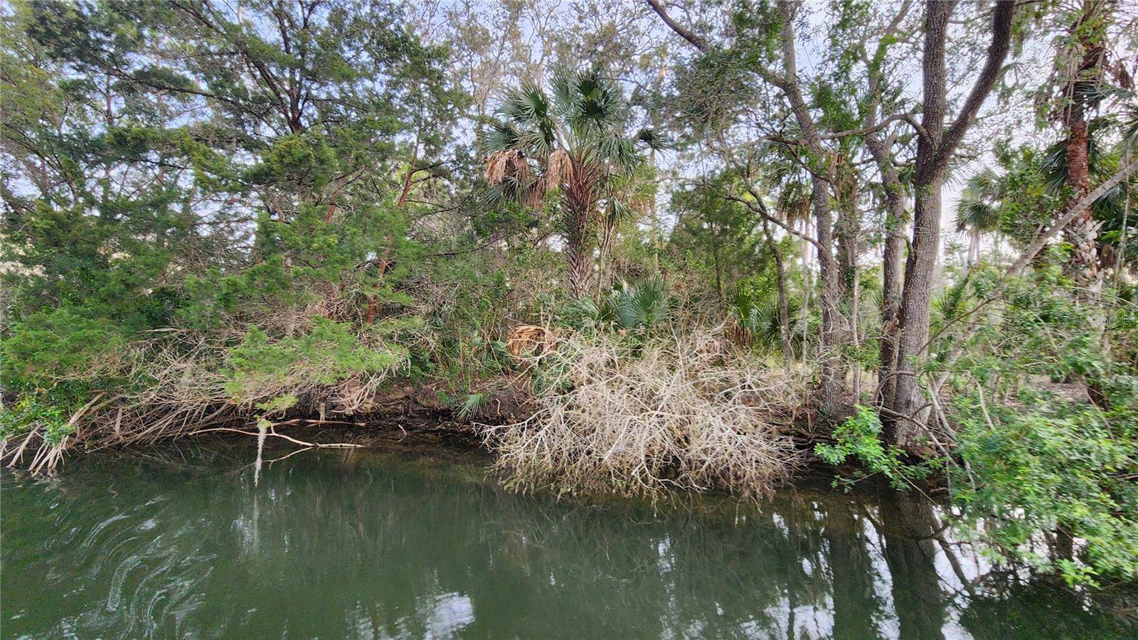 0 FELKER DR, Weeki Wachee, FL 34607