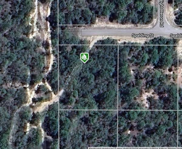 0 SPALDING ST, Brooksville, FL 34614