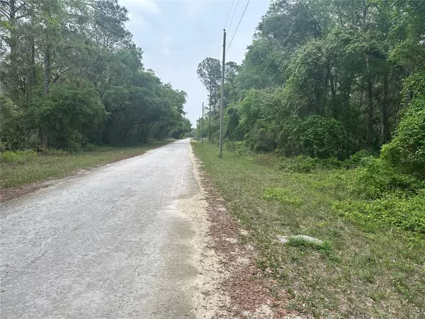 Webster, FL 33597,0 ALLOY ST