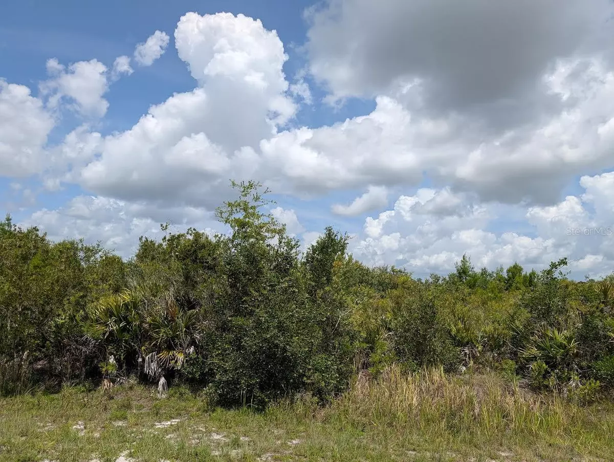 Indian Lake Estates, FL 33855,ST PETERSBURG DR