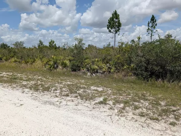 Indian Lake Estates, FL 33855,ST PETERSBURG DR