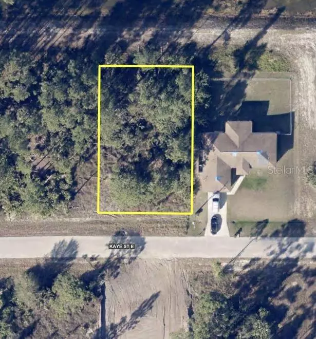Lehigh Acres, FL 33974,1011 KAYE ST E