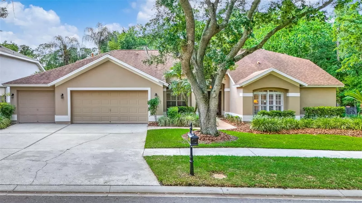 Tampa, FL 33626,10508 CHAMBERS DR
