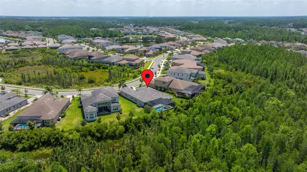 Wesley Chapel, FL 33543,2273 HOLLOW FOREST CT