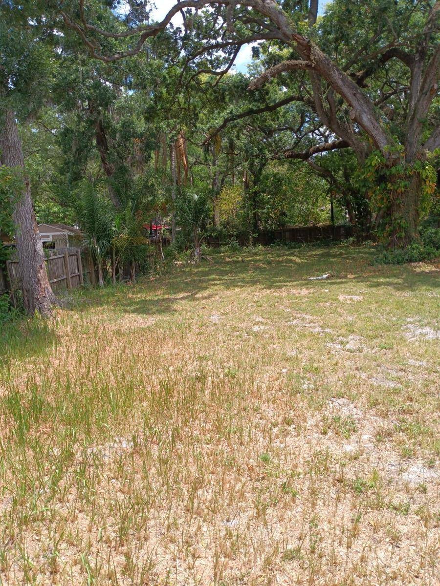 5909 N EUSTACE AVE, Tampa, FL 33604
