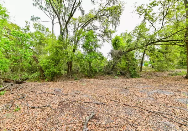 4933 MILEY RD, Plant City, FL 33565