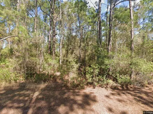 306 CARTERET RD, Georgetown, FL 32139