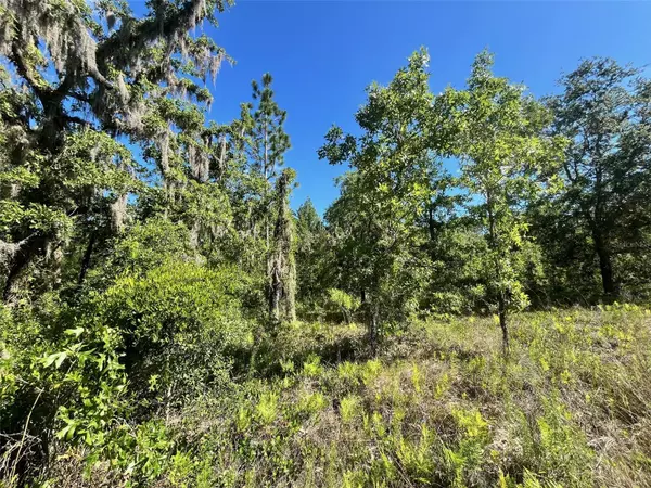 Weeki Wachee, FL 34614,16147 SHELDRAKE LOOP