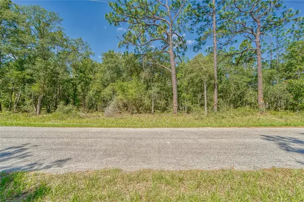 Weeki Wachee, FL 34614,HIDDEN DEER TRAIL #Lot 10