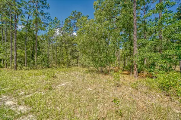 Weeki Wachee, FL 34614,HAWKS NEST TRAIL #LOT 11