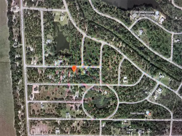 Punta Gorda, FL 33955,27095 CAPISTRANO DR