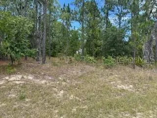 2011 W TACOMA DR, Citrus Springs, FL 34434