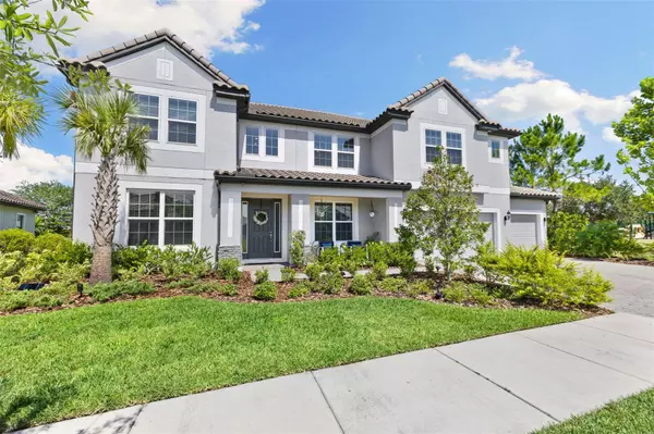 Wesley Chapel, FL 33545,7135 GRAYBROOK DR