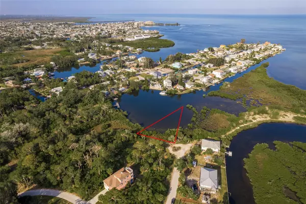 Hudson, FL 34667,00 MCCRAY (1.26 ACRES) DR