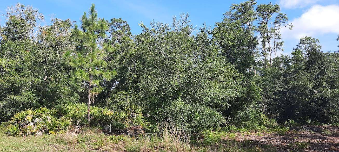 PANDORA DR, Indian Lake Estates, FL 33855