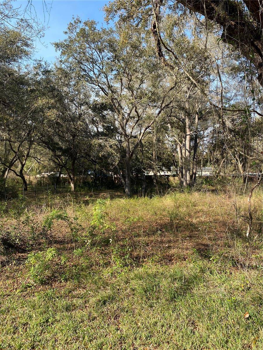 Bushnell, FL 33513,Address not disclosed