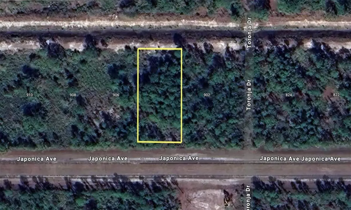 Indian Lake Estates, FL 33855,905 JAPONICA AVE