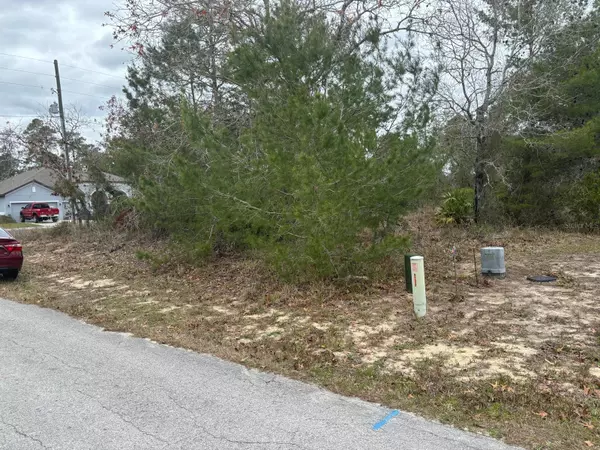 Homosassa, FL 34446,50 LONE PINE ST