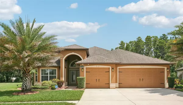 4857 DIAMONDS PALM LOOP, Wesley Chapel, FL 33543