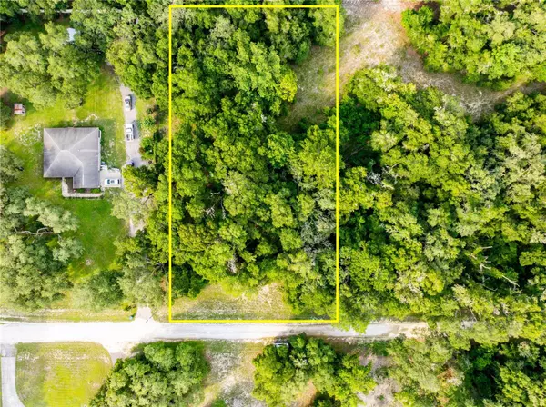 7122 ELAINE DR, Webster, FL 33597