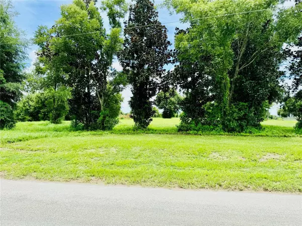 Zephyrhills, FL 33541,FAIRVIEW HEIGHTS RD