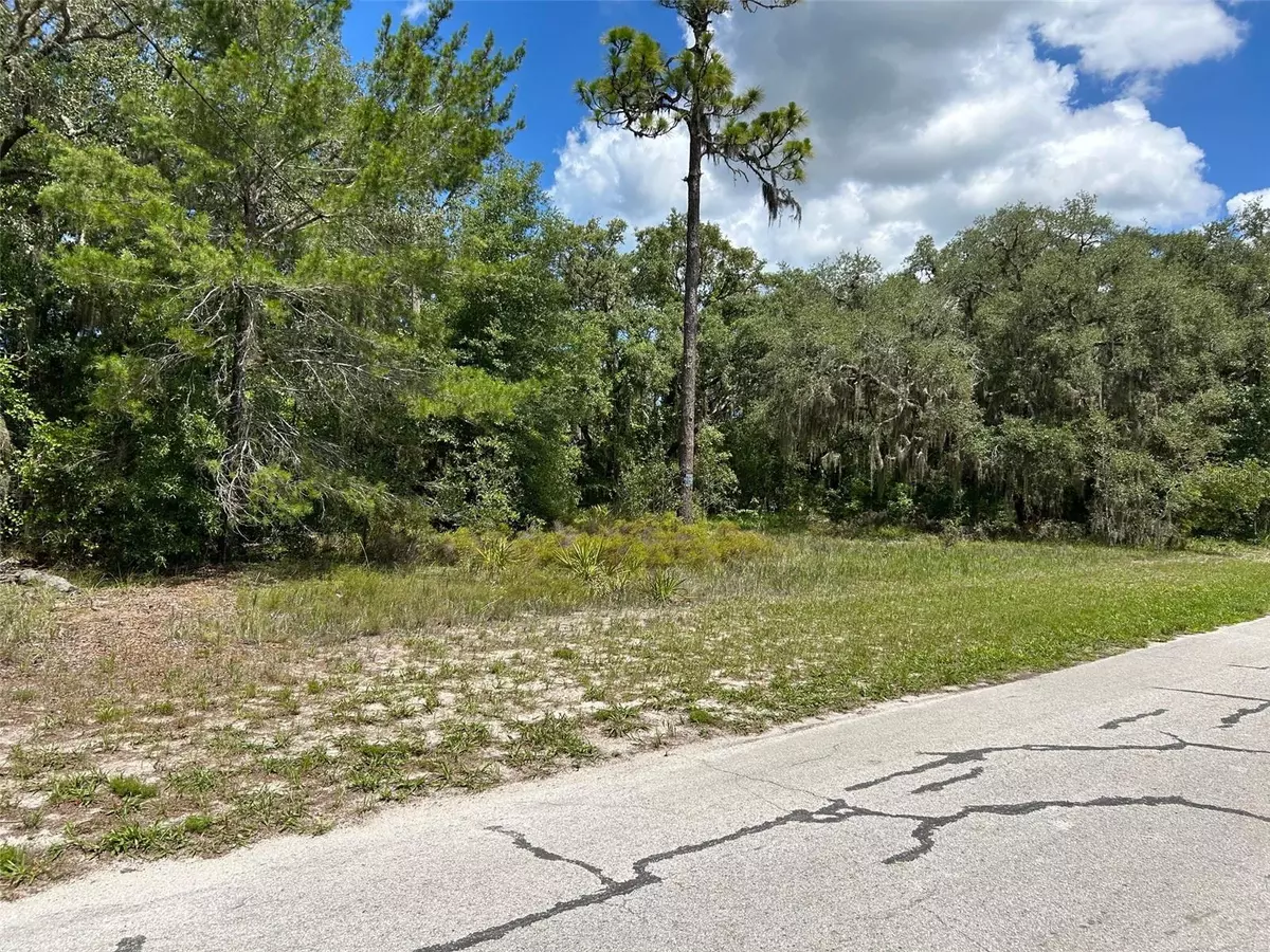 Hudson, FL 34667,18223 LONG LAKE DR