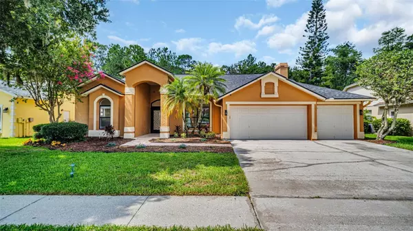 19607 WYNDHAM LAKES DR, Odessa, FL 33556