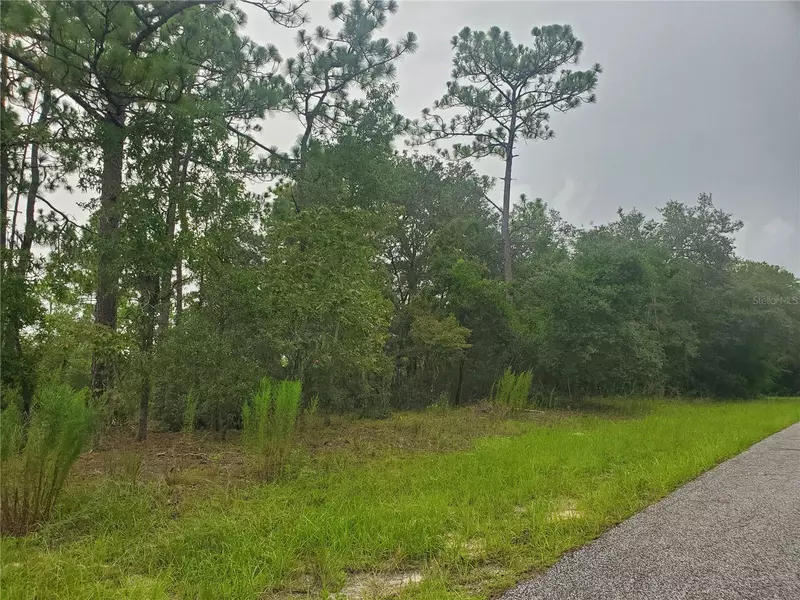 6584 N CLAYTON AVE, Dunnellon, FL 34434