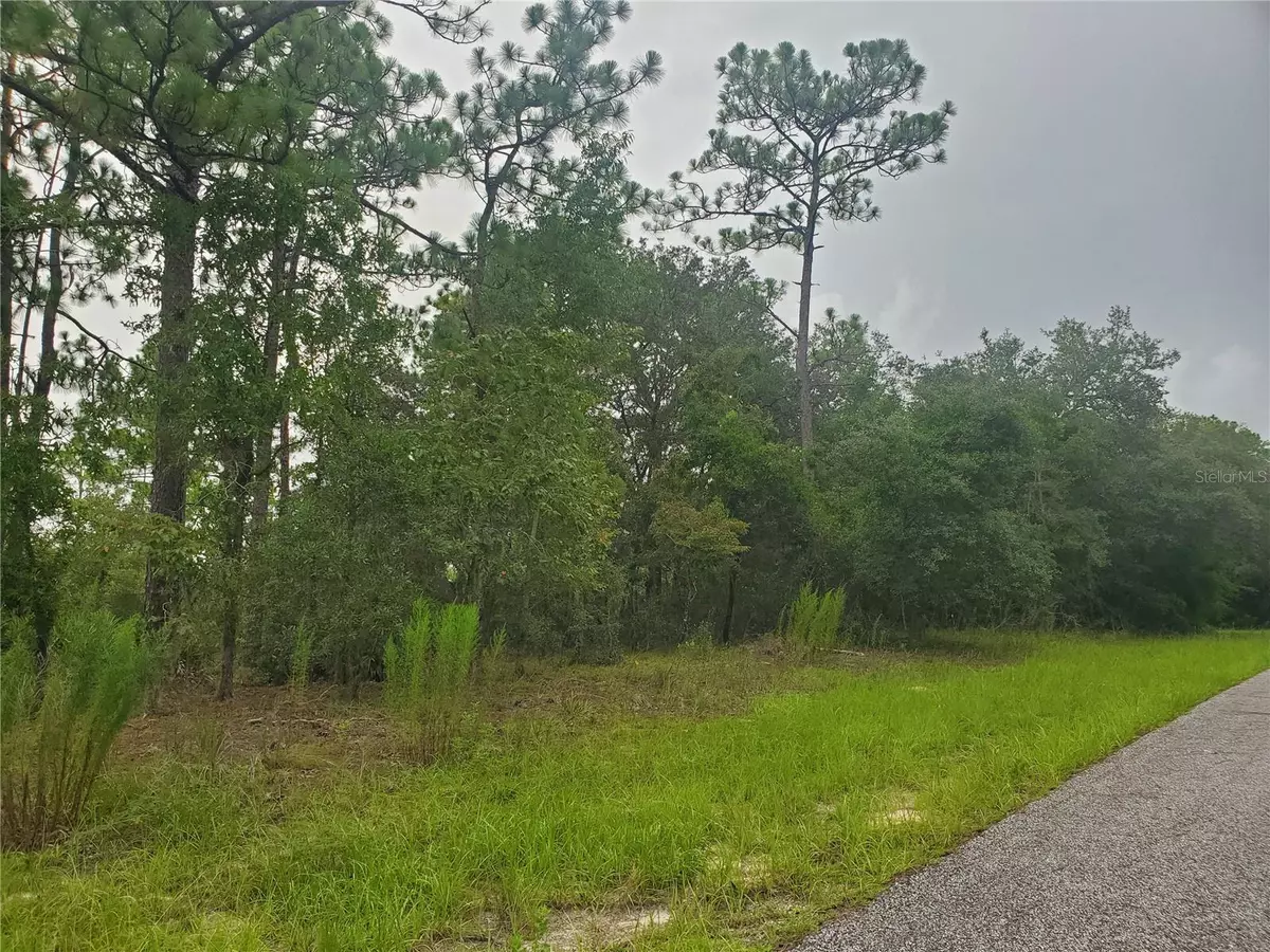 Dunnellon, FL 34434,6584 N CLAYTON AVE