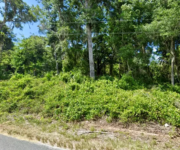 SE 41ST TER, Summerfield, FL 34491