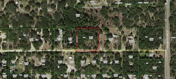 1299 W BRANDYWINE ST, Lecanto, FL 34461