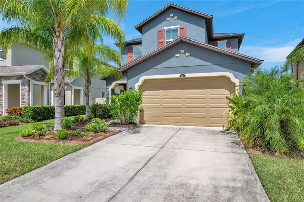 Wesley Chapel, FL 33543,4584 TRAMANTO LN