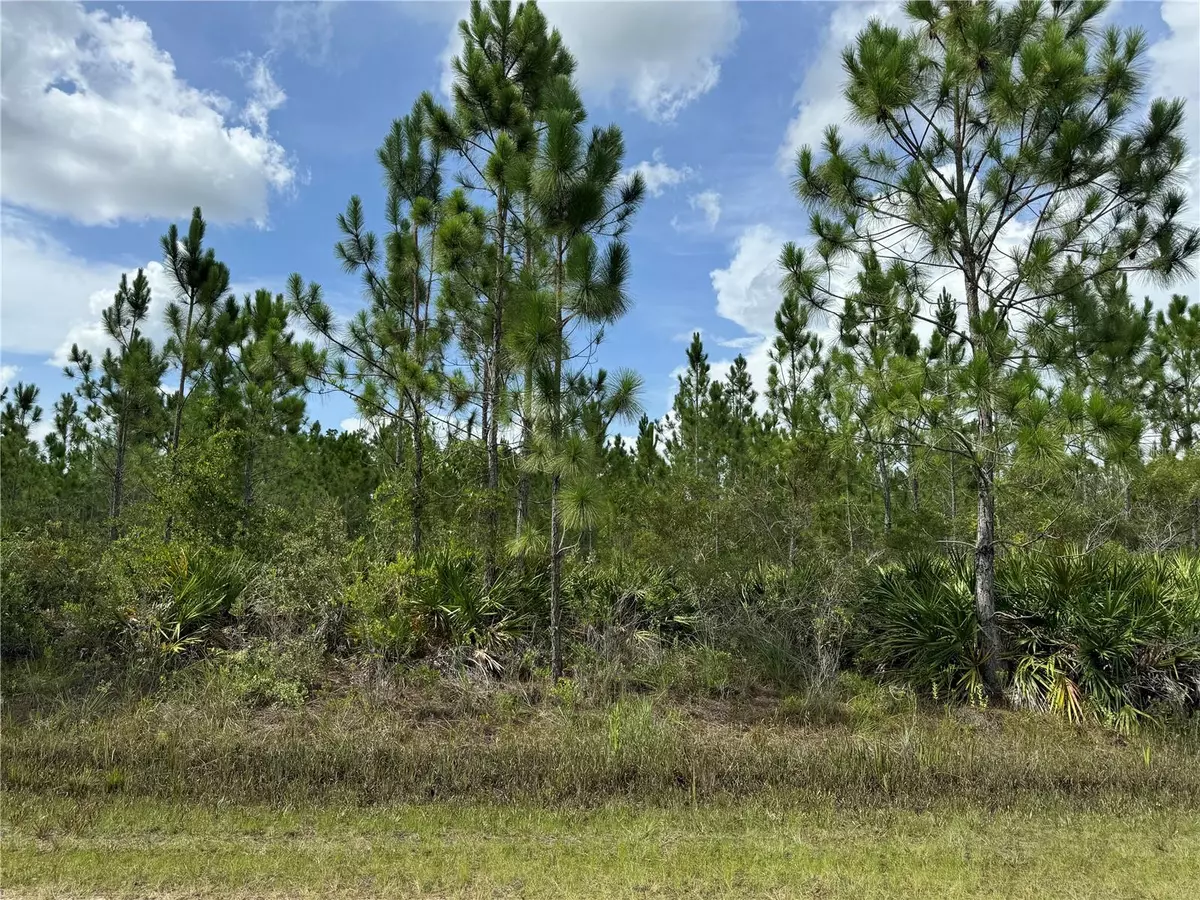 Indian Lake Estates, FL 33855,3621 CALENDULA DR