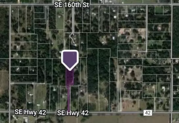 Weirsdale, FL 32195,00 SE HWY 42