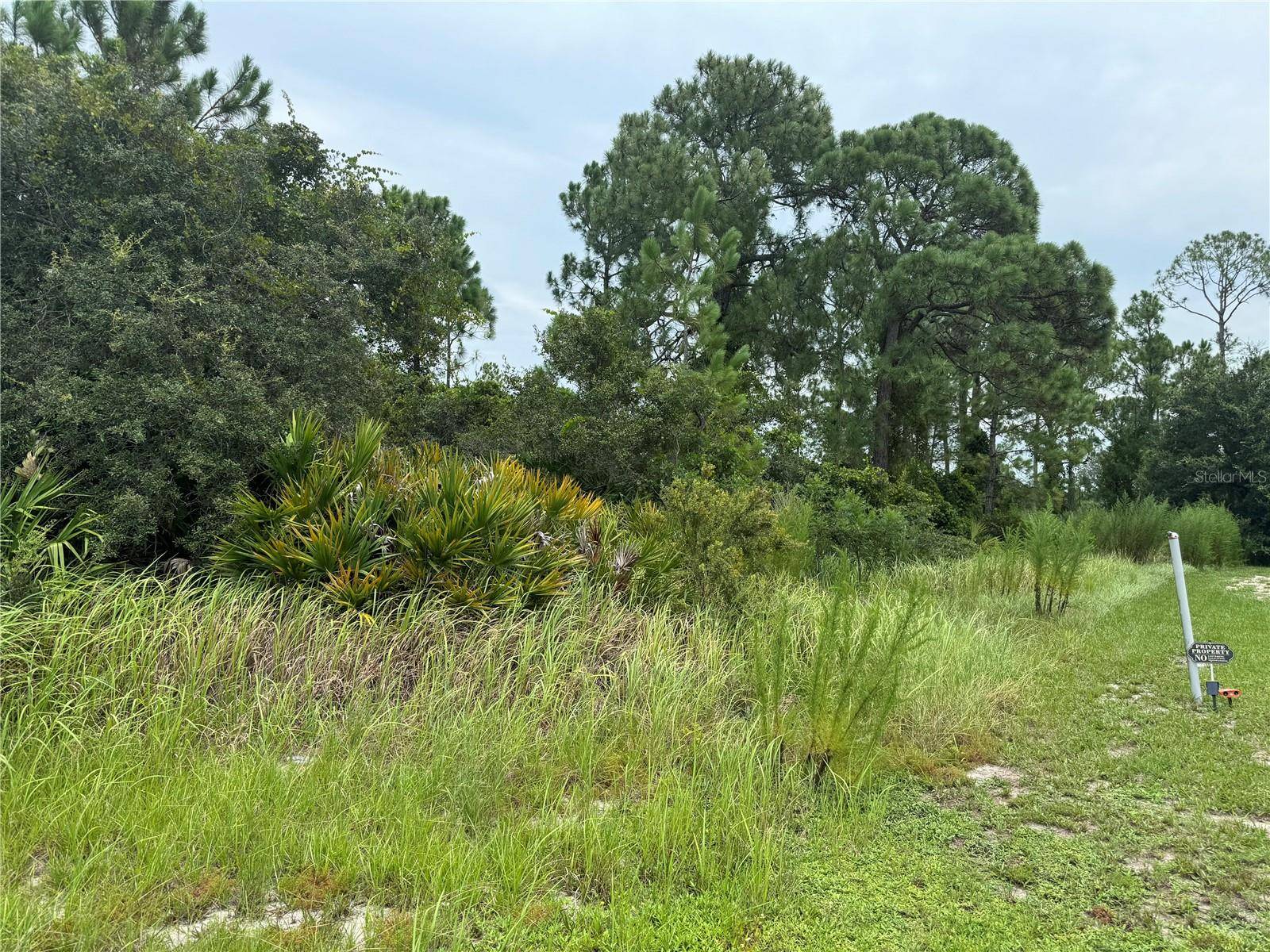 Kissimmee, FL 34759,1238 APOPKA LN