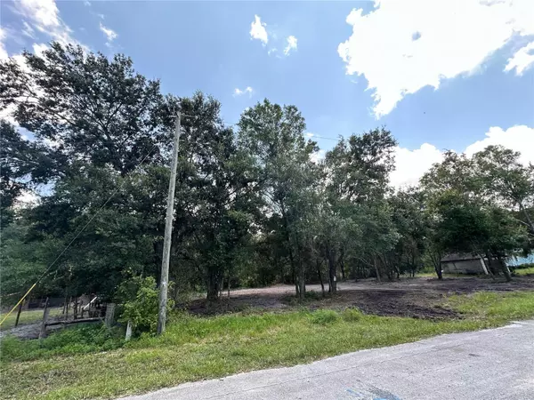 Land O Lakes, FL 34638,0 SAINT JOHNS RD