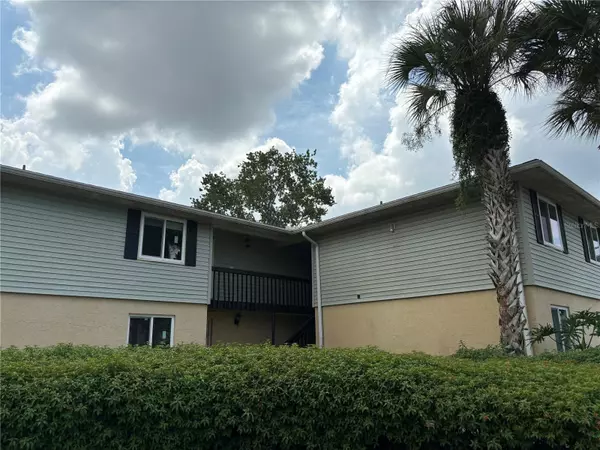 217 THORN TREE PL,  Brandon,  FL 33510