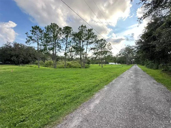 Wesley Chapel, FL 33545,29956 NEW DUTCH LN