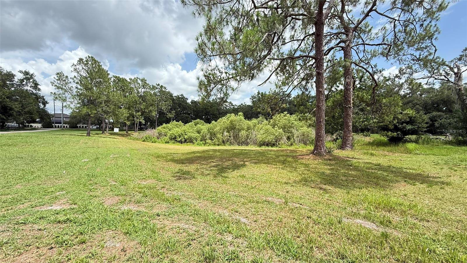 Wesley Chapel, FL 33545,29956 NEW DUTCH LN