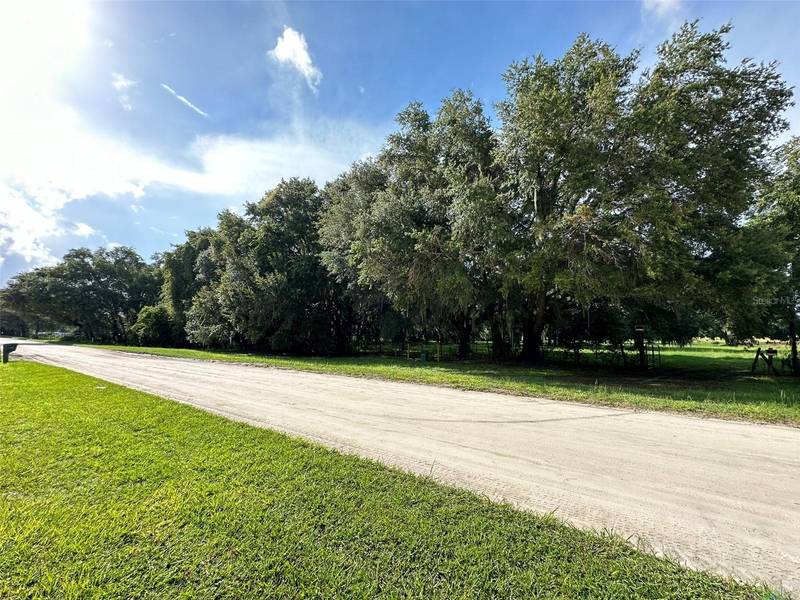 MCKENDREE RD, Wesley Chapel, FL 33545