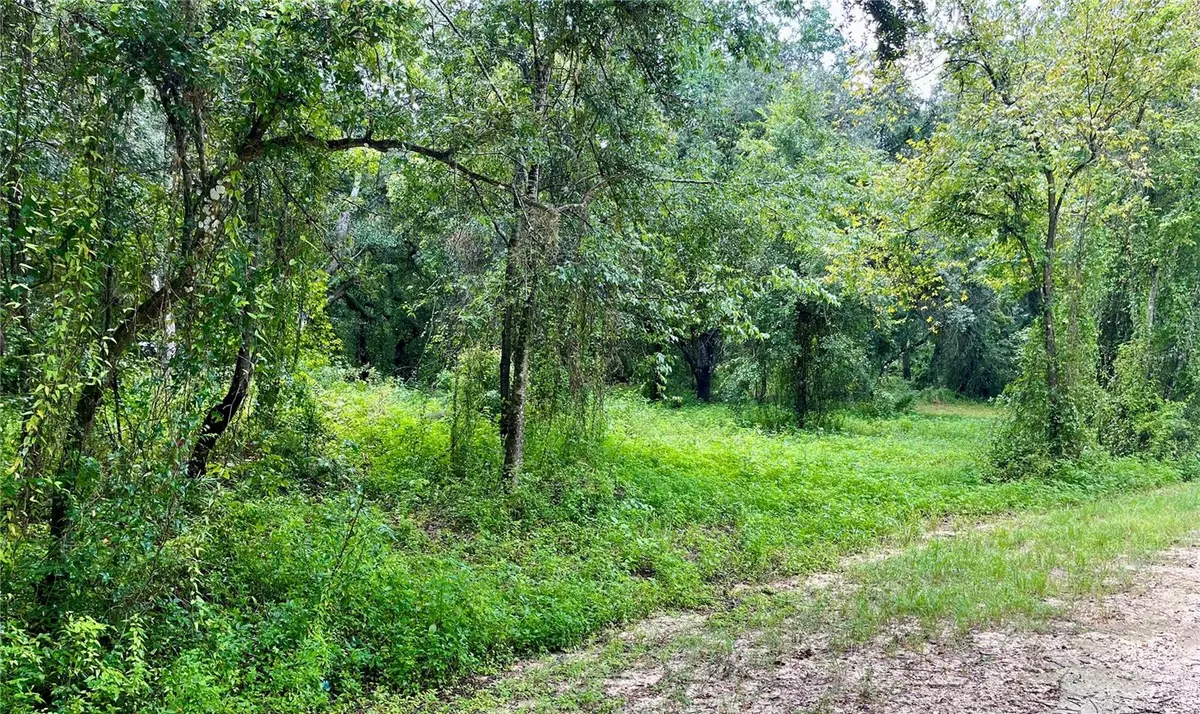 Dade City, FL 33523,POLARIS RD