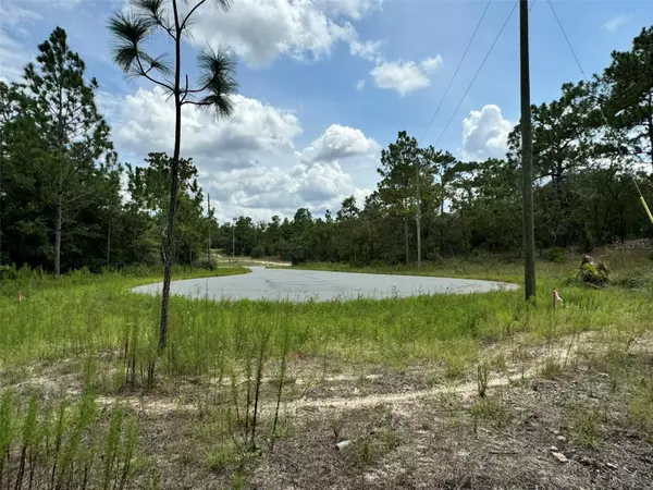 Dunnellon, FL 34433,11349 N ZEUS PT