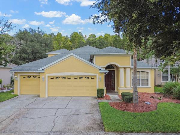 10711 PEARL BERRY LOOP, Land O Lakes, FL 34638