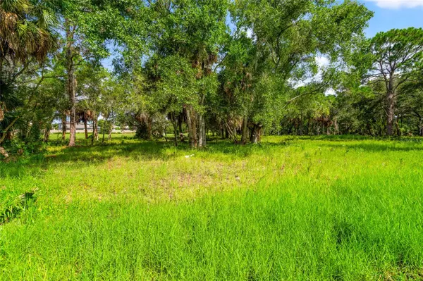 Oldsmar, FL 34677,000 STRATHMORE AVE