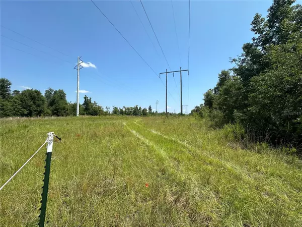 Altha, FL 32421,NW BAILEY CEMETARY RD