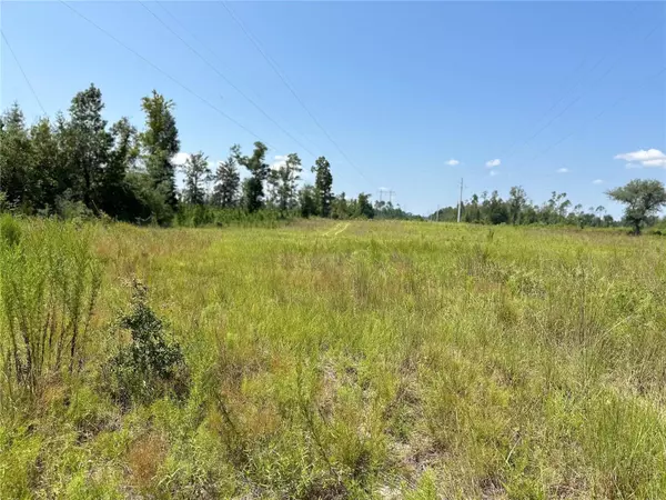 Altha, FL 32421,NW BAILEY CEMETARY RD