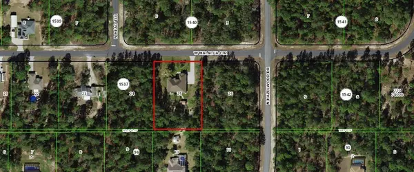 Citrus Springs, FL 34433,4214 W MALALUKA CIR